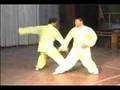 形意八卦掌對練 Xingyibaguazhang