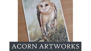 Acorn Artworks - Time lapse Owl painting