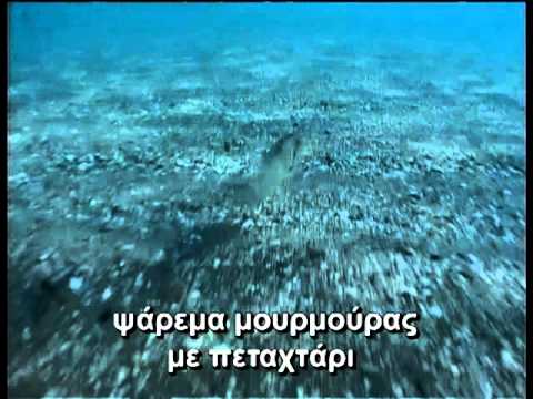 ΕΛΛΗΝΙΚΑ ΠΑΡΑΔΟΣΙΑΚΑ ΨΑΡΕΜΑΤΑ Νο 4 Greek Traditional Fishing No4