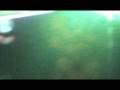 videos de Artha Live at Time Travel, Orbital 2008