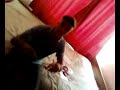 nst yassine freestyle