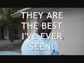 Carpet Cleaning in El Paso- FORBIDDEN SECRETS!