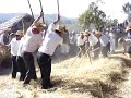 Malha Tradicional de Tendais.Agosto 2007.Fragmentos