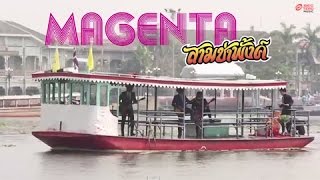 video แจว [Teaser] - Magenta