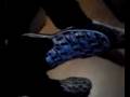 videos de pipi