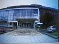 punchball-baby-P.wmv