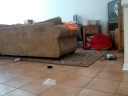 What $10 at Home Depot can buy you What $10 at Home Depot can buy you