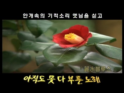 안개속의 시적소리 옛님을 싣고 아직도 못 다 부른 노래 썸네일
