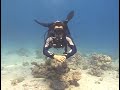 Safety Drill (S-Drill) - Scuba