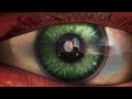 Afterworld Episode 98 - End of Road