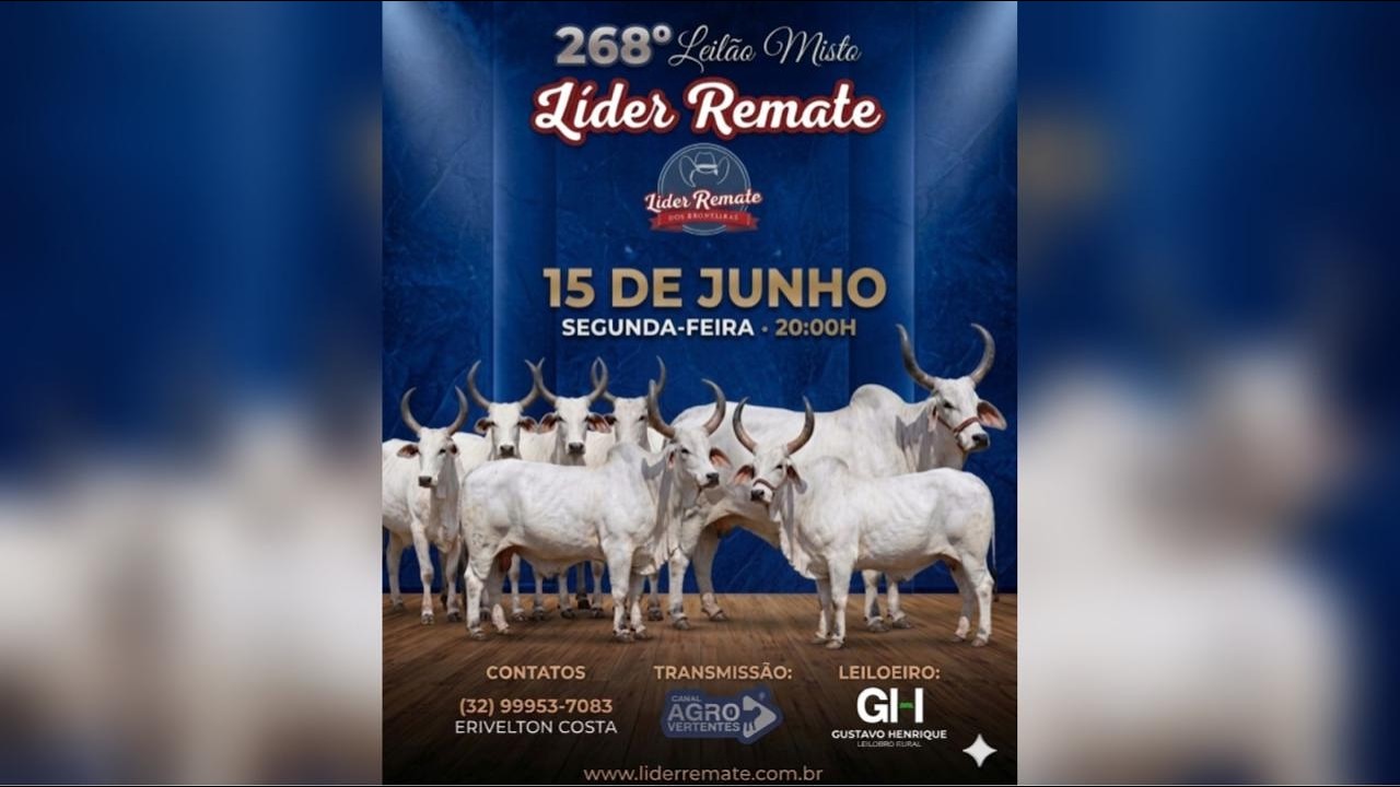 268º LEILÃO MISTO LÍDER REMATE - SÃO JOÃO DEL REI/MG - 15/06/2026