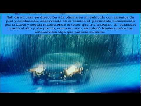 Imagen de previsualización de YouTube