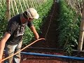 Vida de orteiro