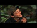 Honeybee Fly Around Song