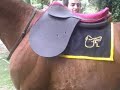 Win : Lagomarsino Saddle at PCW Polo before Palermo.