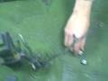 videos de BTP- Dark Elves v Orcs Battle Report part 02