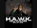 Big HAWK - SouthSide