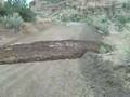 Flash flood at Thompson Canyon