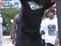 CHAMILLIONAIRE-S-FLY