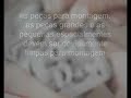 Mecânica de motos-carburador da RDZ