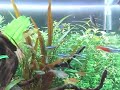 食事風景