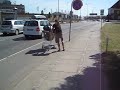 Robban - going home from Skive Beach Party 2008