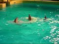 Dolphinarium Harderwijk 2007