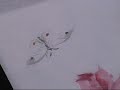 watercolor painting demo: roses and butterfly