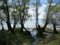 Hagnau am Bodensee 2009