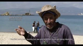 NO COUNTRY ALONE documentario