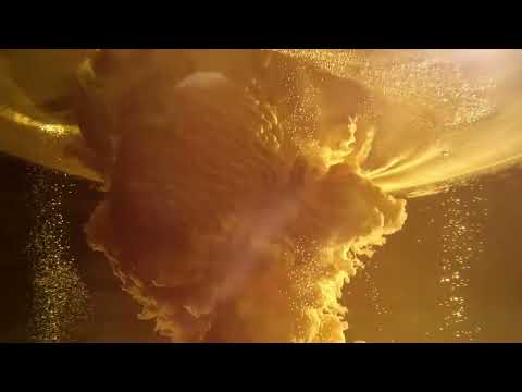 Saporo  - Avi Kapick