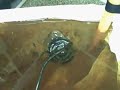 Feb 13 2008 - VID00005