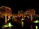 CdA Downtown Lights Winter \