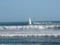 videos de a momentous ride