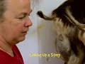 Artisan Cheese On The Farm: Episode 6