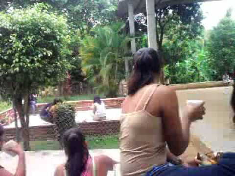 Bocallena WMV V9