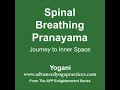 Spinal Breathing Pranayama AudioBook Preview by Yogani