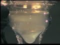 Pernod Fils absinthe (1910)