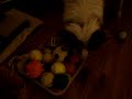 Eruit met die ballen ! Eruit met die ballen !