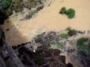 Verquidos ao Tea en Salvaterra