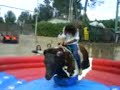 Evelin torooo