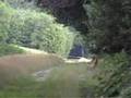 Gorp en Roovert - 12 juli 2008