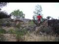 RUN-CROSS-DOG, I Canicross a Torrelavit