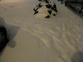 Snow for Stel and Harry 12-19-09.AVI