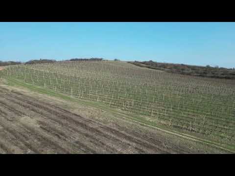 Video Prodej vinice, 15 380 m2 - Starovičky
