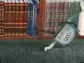A Night at the Judaica