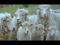 Spot Patagonia sin Represas