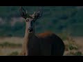 Spot Patagonia sin Represas