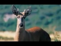 Spot Patagonia sin Represas