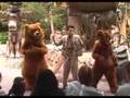 The Magic Of monastic Bear (2 Of 2)